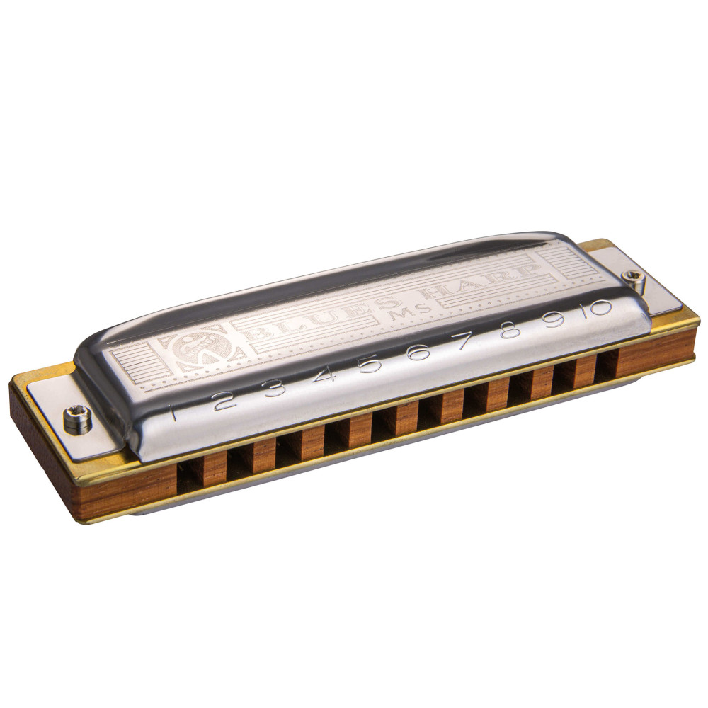 Armónica Hohner New Blues Harp M533036P (D)
