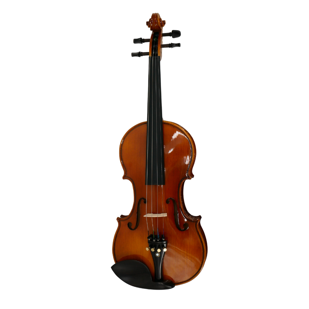 Violín 3/4 Gaudieri HD-V01