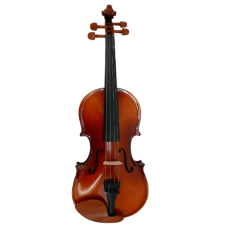 Violín Gaudieri HD-V21 1/2