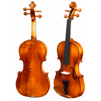 Violín 1/8 Gaudieri HD-V21