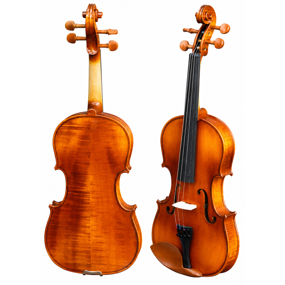 Violín 1/8 Gaudieri HD-V21