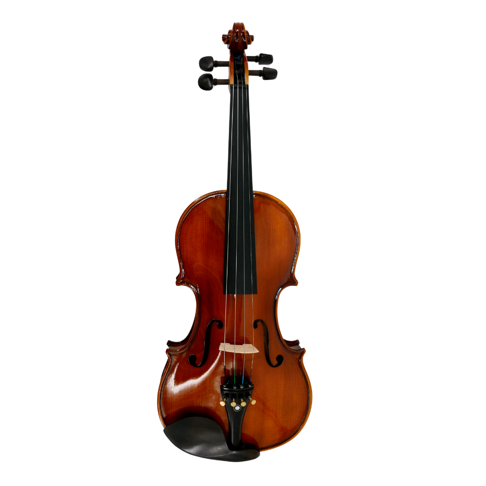 Violín 4/4 Gaudieri HD-V00