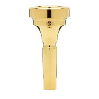 Boquilla Trombón Denis Wick 4880-5BL Dorada