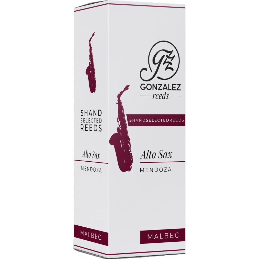 Caja 5 Cañas Saxo Alto Gonzalez Malbec 2½