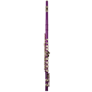 Flauta Travesera Taylor Collins TCFL-538PR Platos Cerrados Púrpura