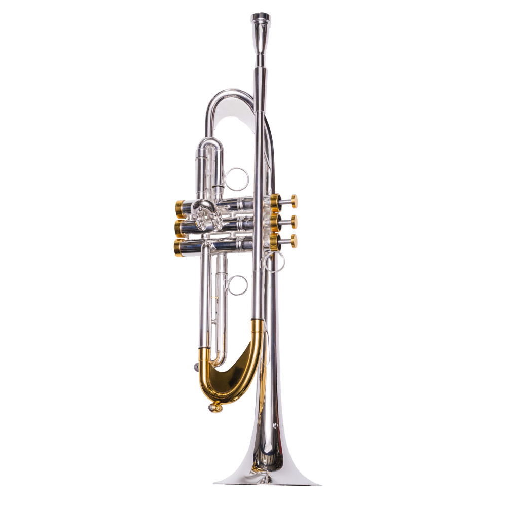 Trompeta Taylor Collins TCTR-069BH Plateada con Pistones Monel en Sib